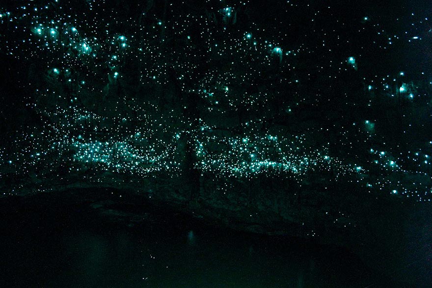 cueva de las luciérnagas en Waitomo, Nueva Zelanda