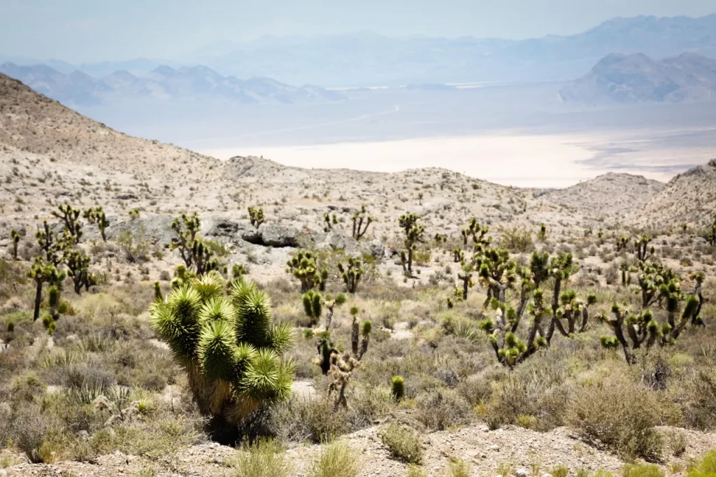 Desert View Overlook