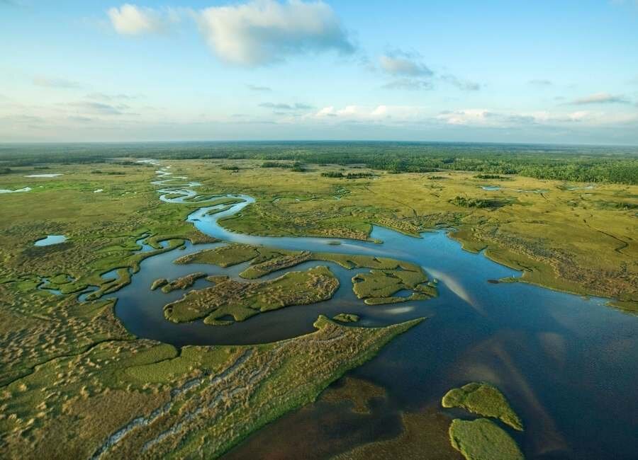 Descubre los Everglades de Florida
