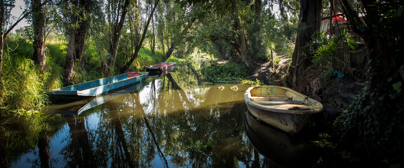Parque Ecológico Xochimilco: los jardines flotantes de la era azteca ofrecen un camino hacia una alimentación sostenible