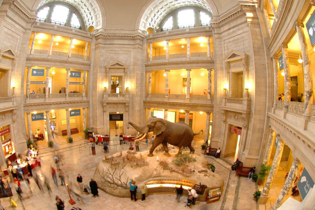 Museo Smithsonian | Washington DC