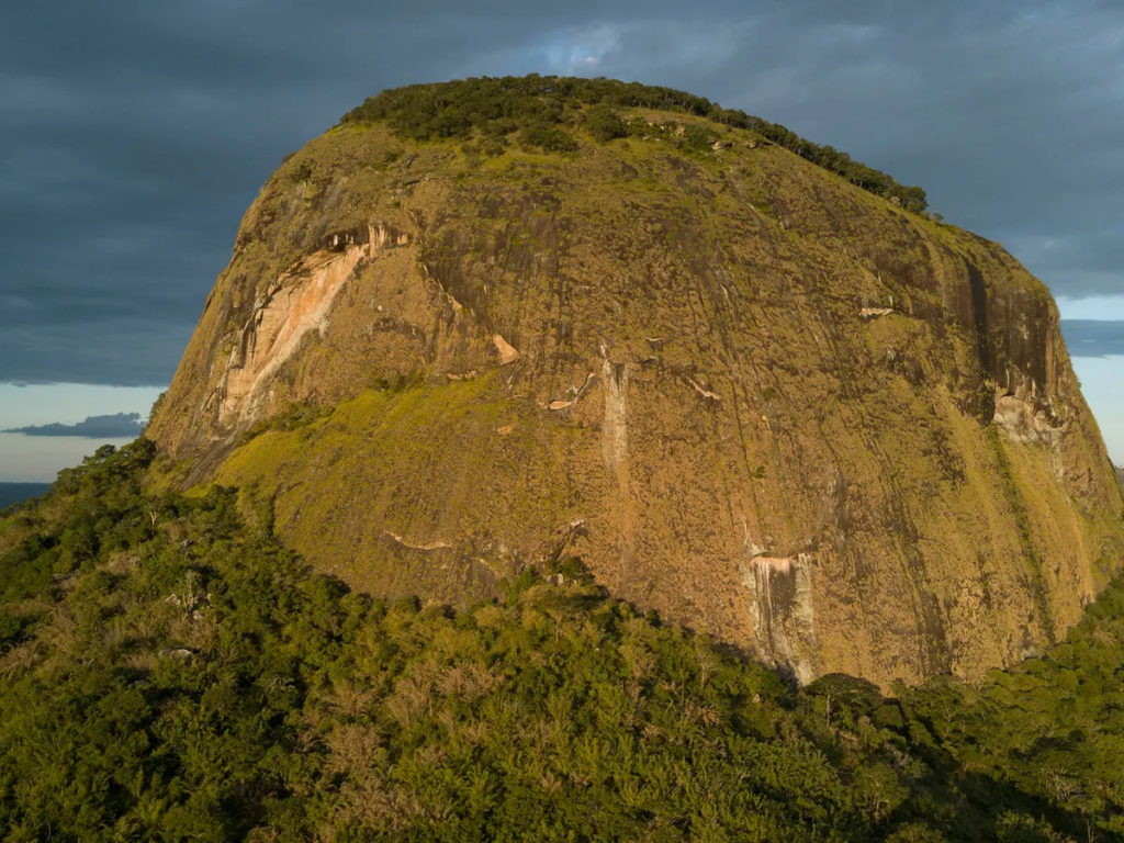 Selva oculta Mount Mabu, Mozambique 