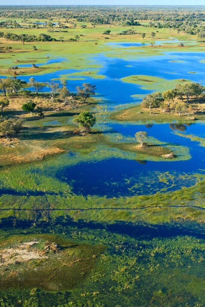 Delta del Okavango, Botsuana