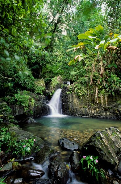 Bosque Nacional El Yunque, Puerto Rico