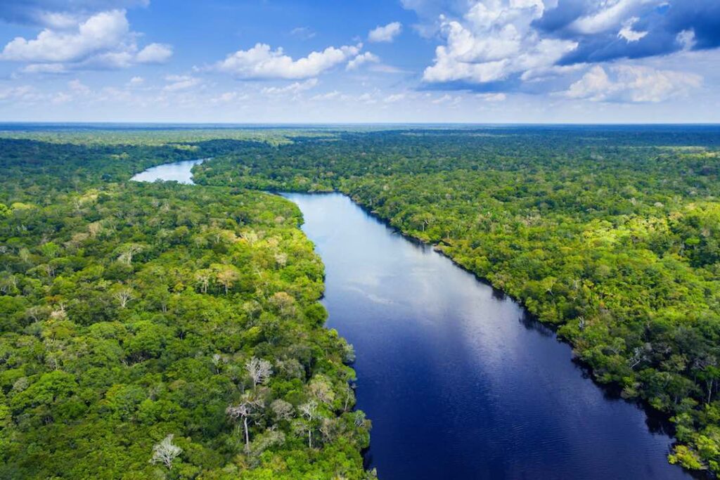 Un Pedazo del Amazonas está en Colombia