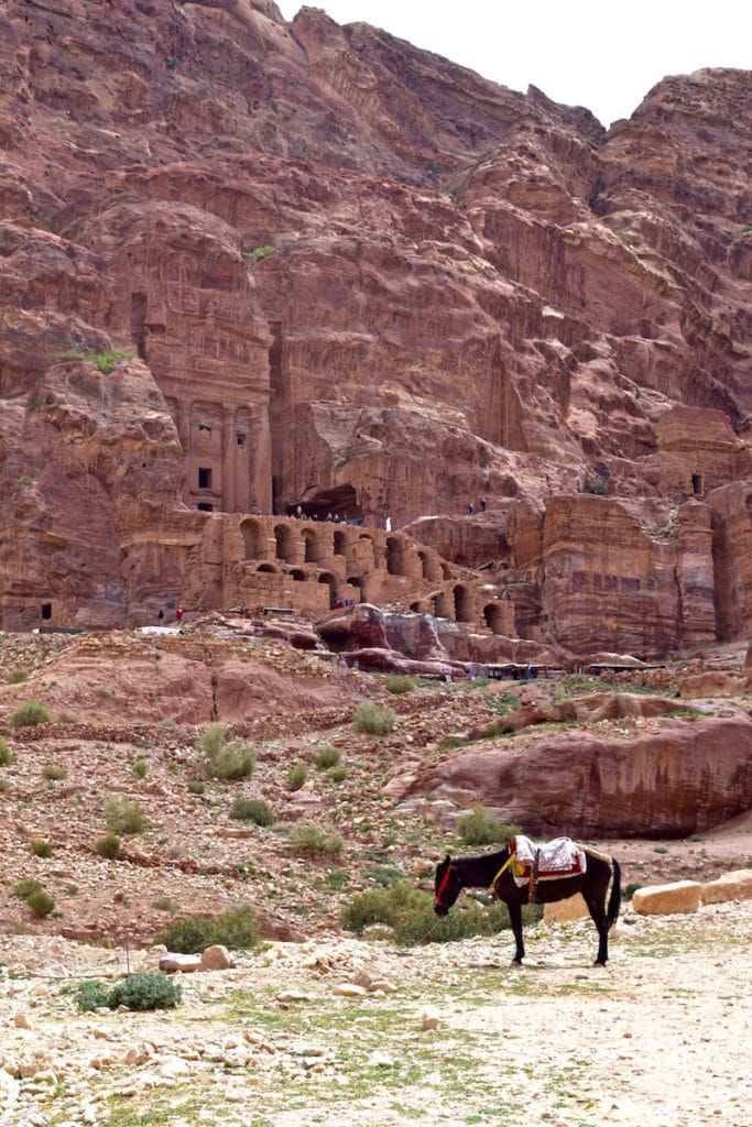 Petra y sus míticos jardines