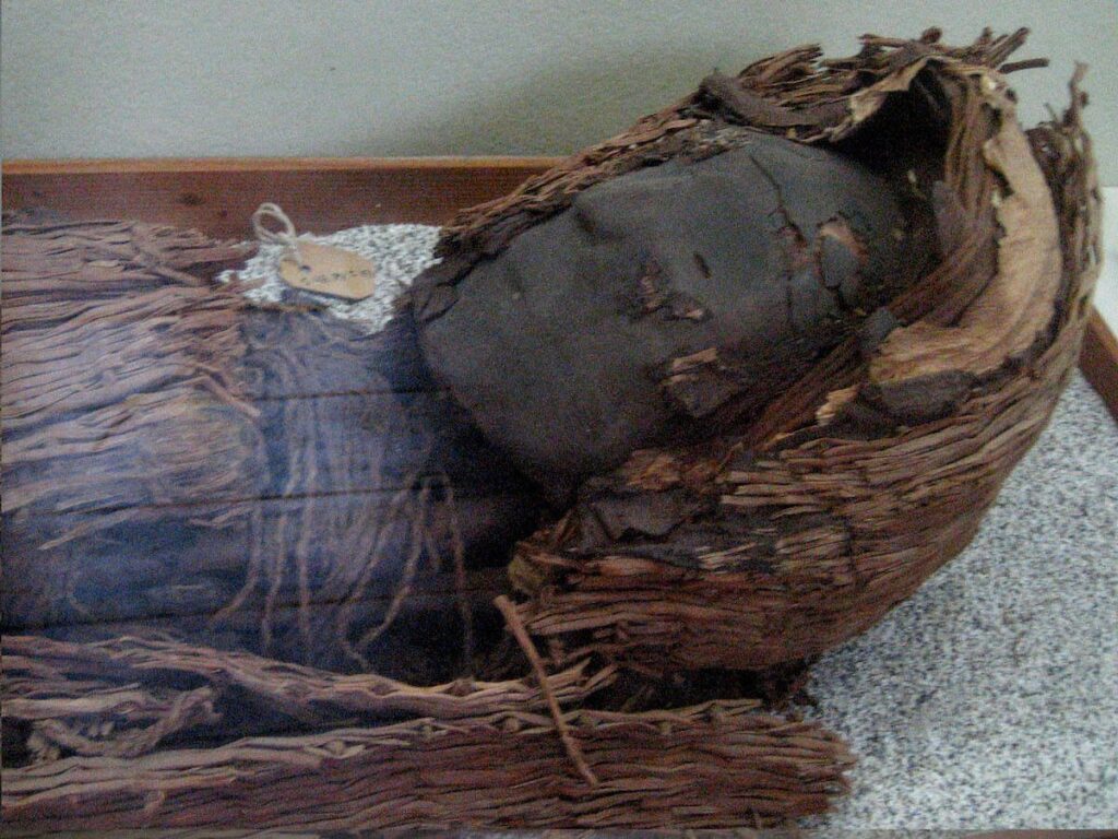 Las Momias más Antiguas del Mundo se Encontraron en Chile