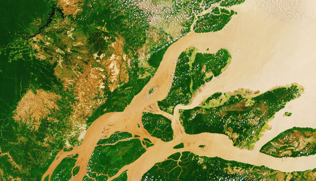 15 Curiosidades sobre el Río Amazonas y su vínculo con África