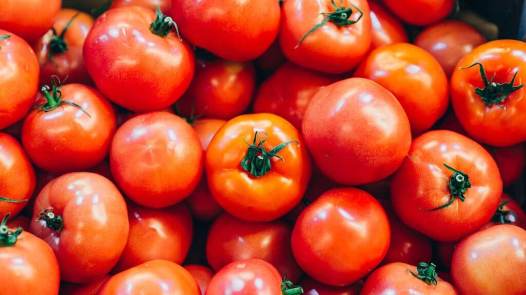 Los Tomates Fueron Introducidos en Italia desde Perú en el Siglo XVI