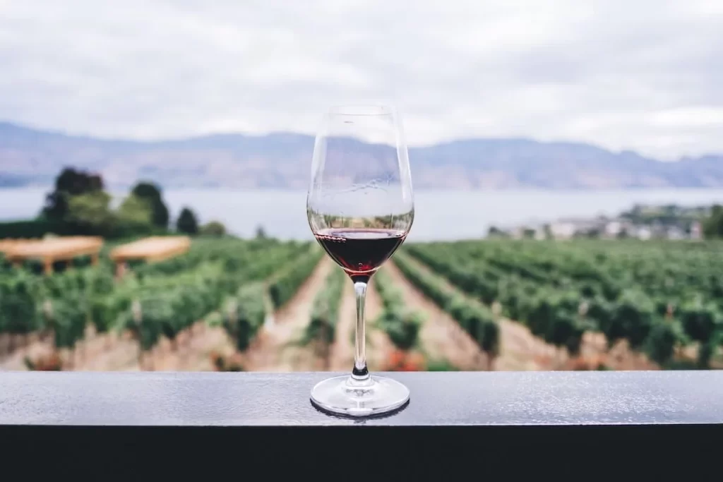 Chile, una Potencia Mundial en la Producción de Vino