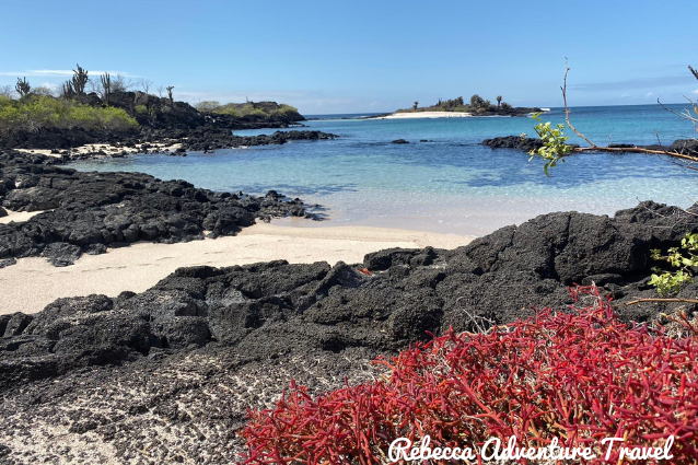 Las Islas Galápagos son un destino para todo el año.