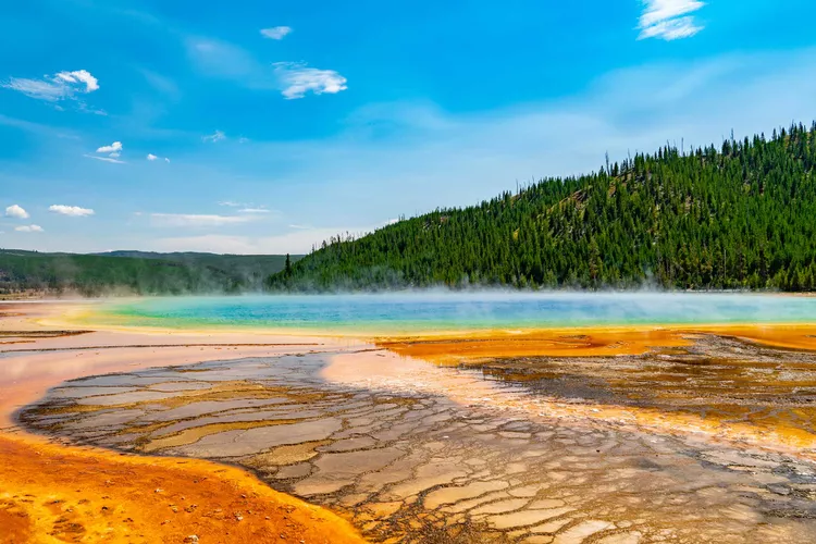18 Curiosidades sobre Yellowstone National Park que te Dejarán Asombrado