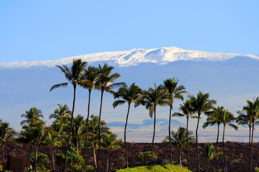 palmas y nieve en hawaii